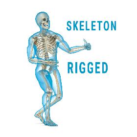 Human Skeleton and body (Rigged)